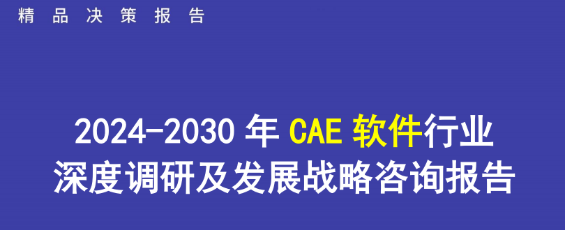 2024-2030年CAE软件行业深度调研及发展战略研究报告